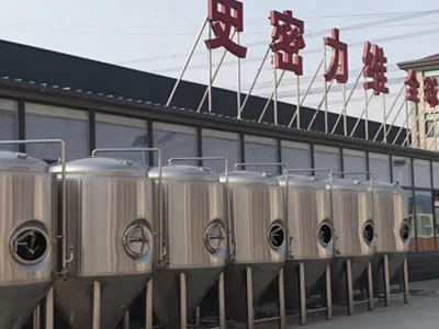 宝鸡精酿啤酒设备厂—如何判断精酿啤酒设备的密封件需要更换？